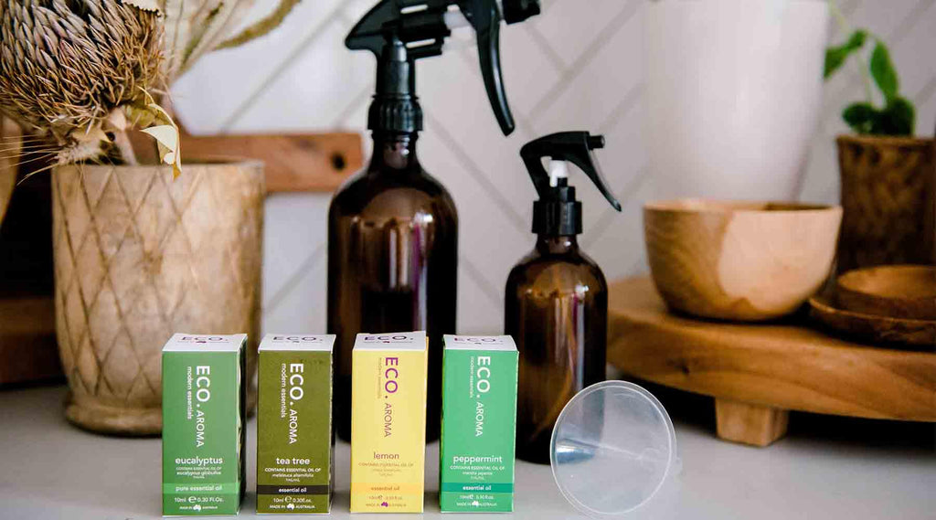 DIY Cleaning Products - ECO. Modern Essentials
