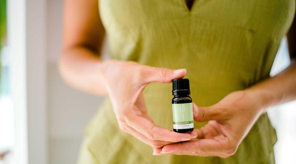 Benefits & Uses of Vetiver Essential Oil - ECO. Modern Essentials