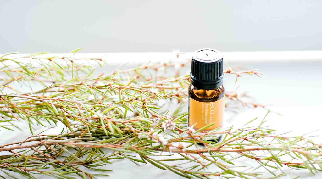 Best Essential Oils For Fall