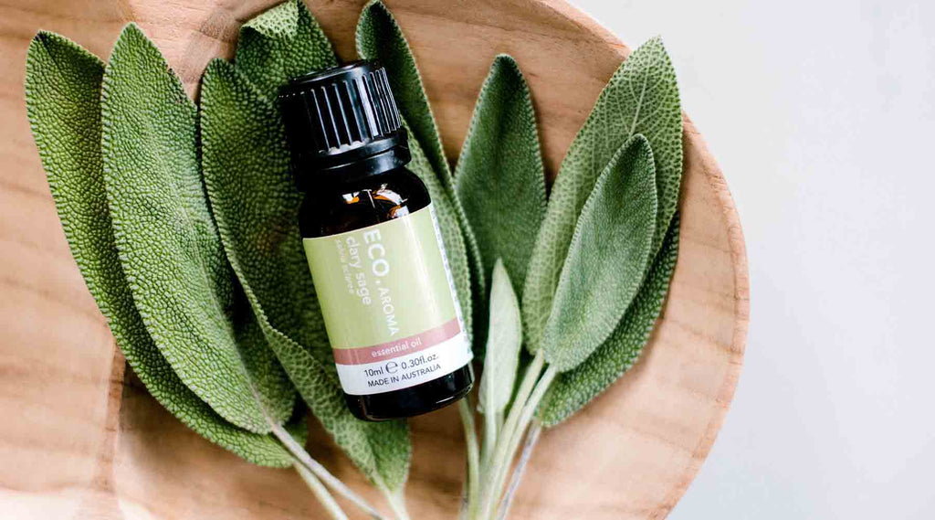Benefits & Uses of Clary Sage Essential Oil