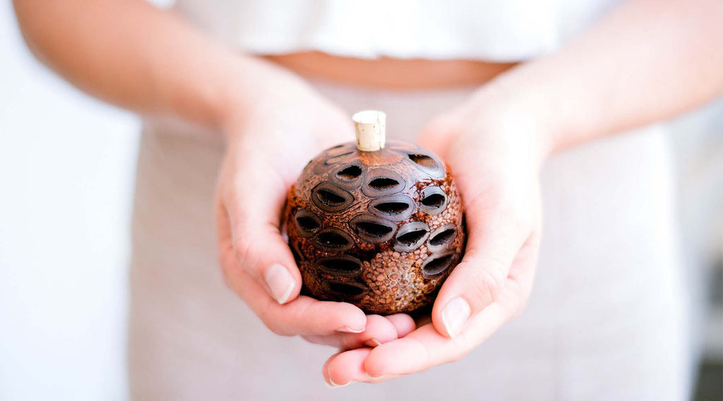 Banksia Seed Aroma Pod